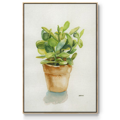 Succulent I - Framed Premium Gallery Wrapped Canvas L Frame - Ready to Hang