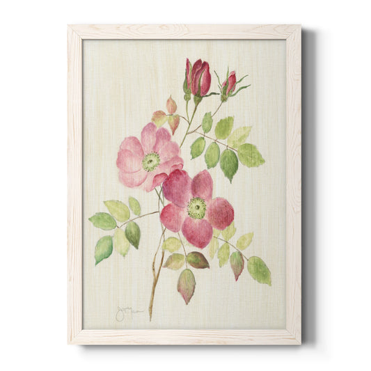 Dusty Rose I - Barnwood Framed Canvas Print