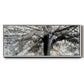 Story From Light and Shadow - Floater Framed Canvas Print