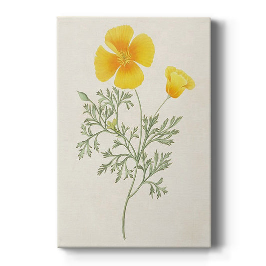 Flowers of the Seasons IX - Canvas Art Print