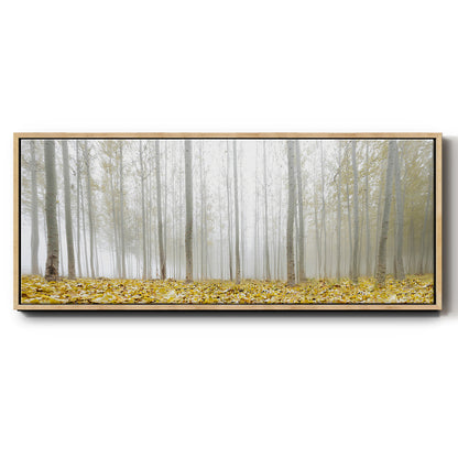 Poplar Grove - Floater Framed Canvas Print