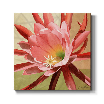 Desert Bloom I - Canvas Art Print