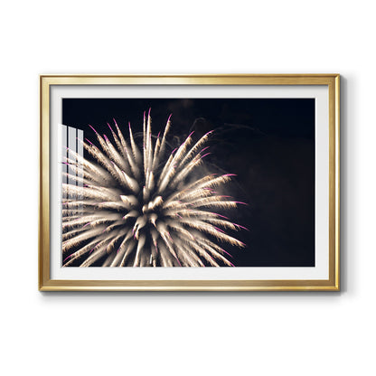 Sky Bloom Premium Framed Print - Ready to Hang