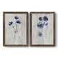Set of two walnut barnwood framed canvas prints featuring two rustic monochrome botanical paintings featuring blue wildflower stems on weathered neutral paper.