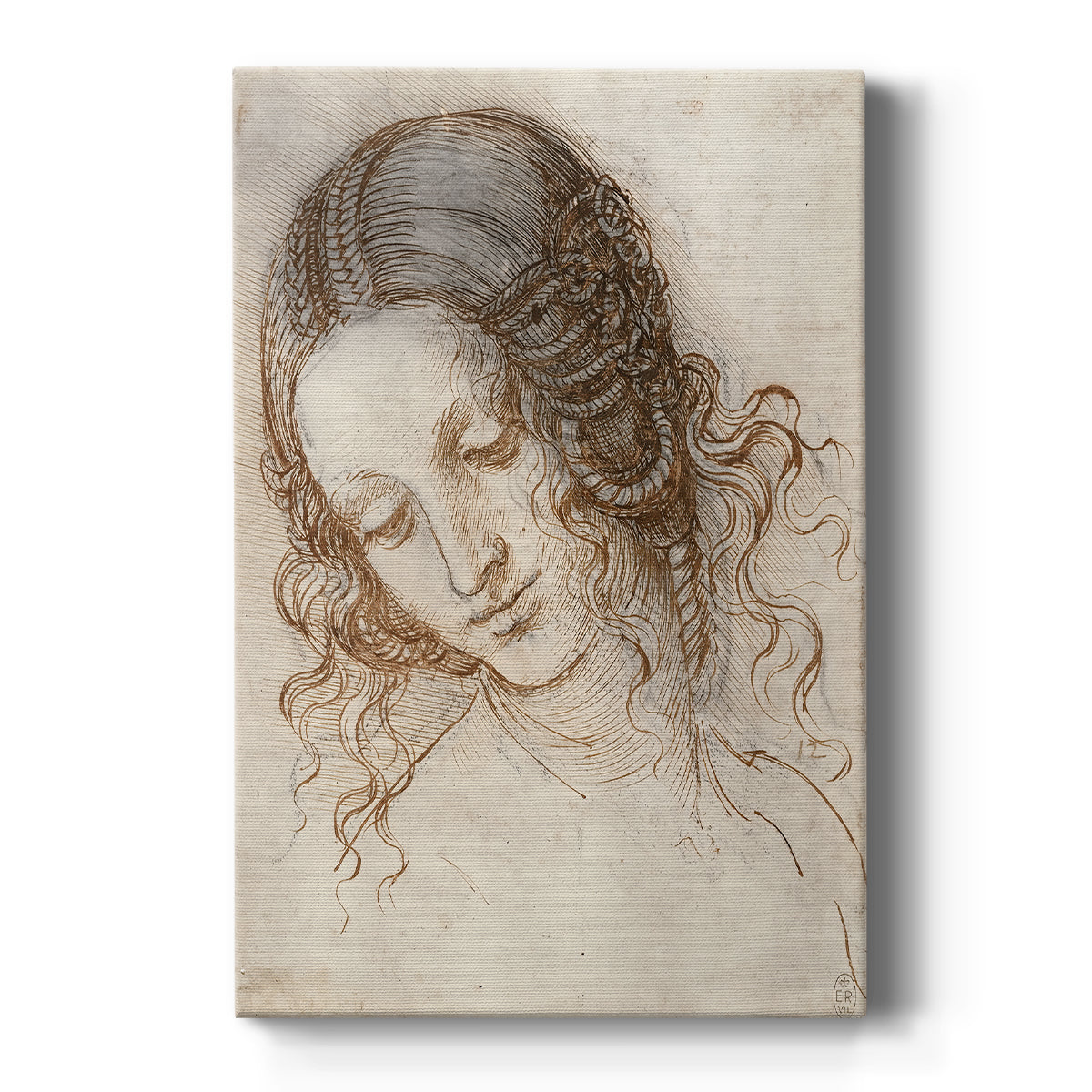 Canvas art print featuring a Renaissance drawing of a female head with soft shading and delicate features on a clean white background.