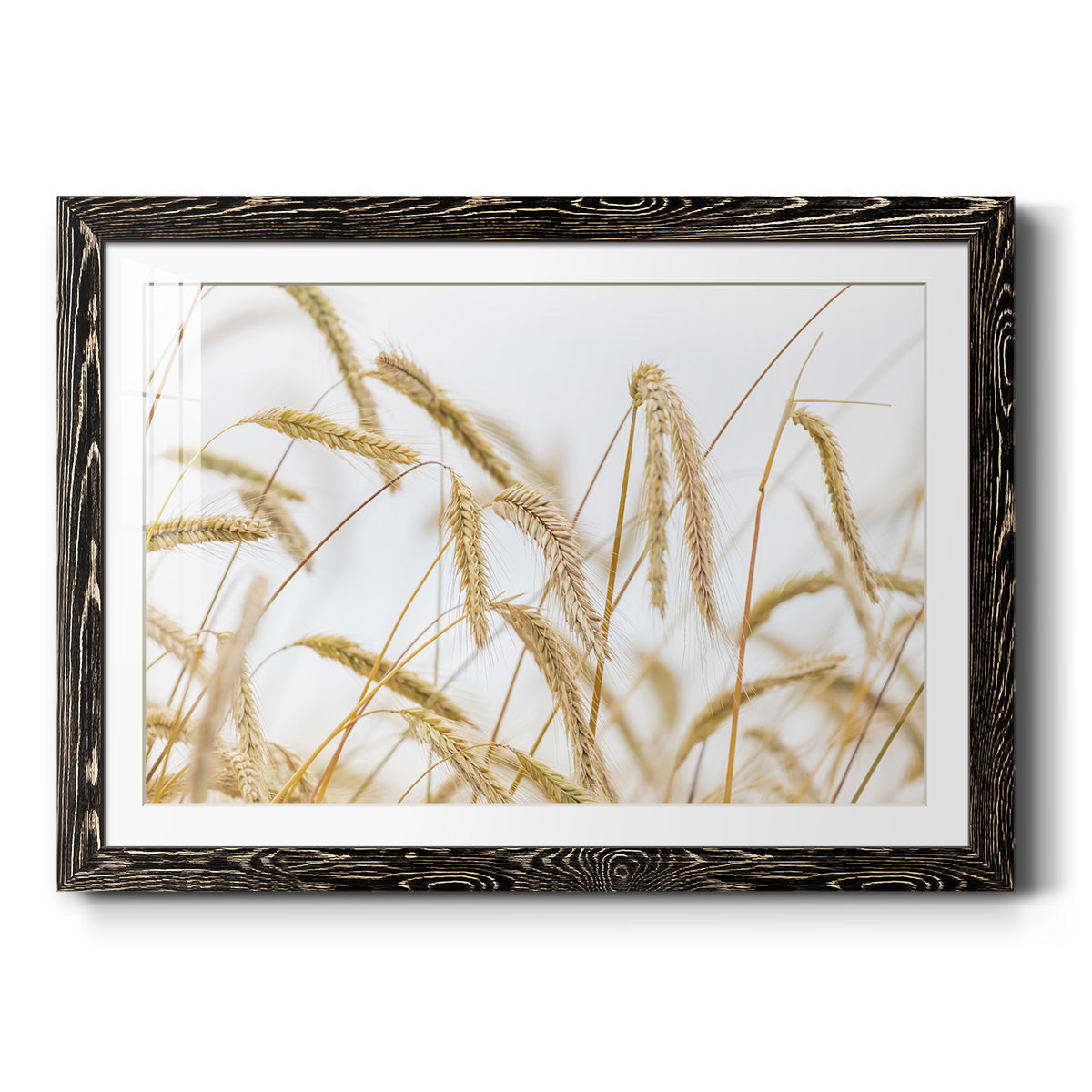 Wheat - Barnwood Framed Art Print
