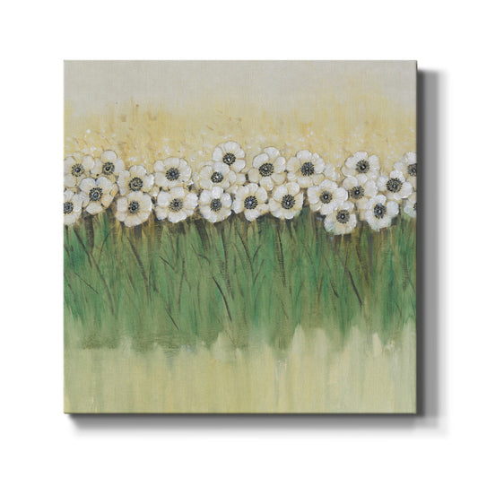 Rows of Flowers II - Canvas Art Print