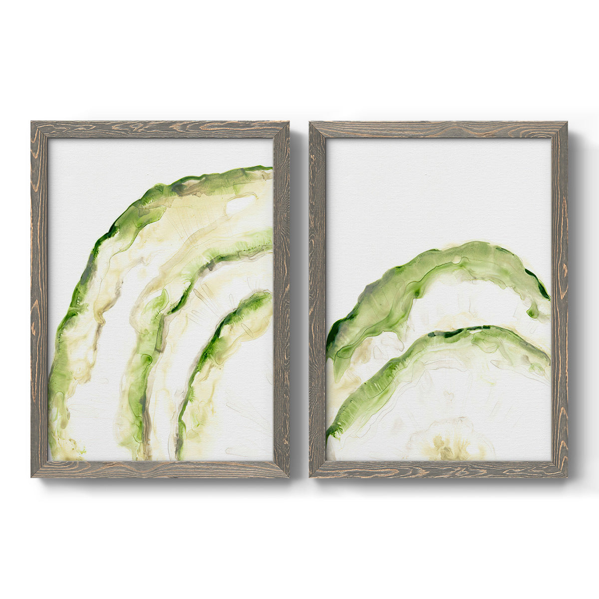 Lichen Halo I - Premium Framed Canvas 2 Piece Set - Ready to Hang