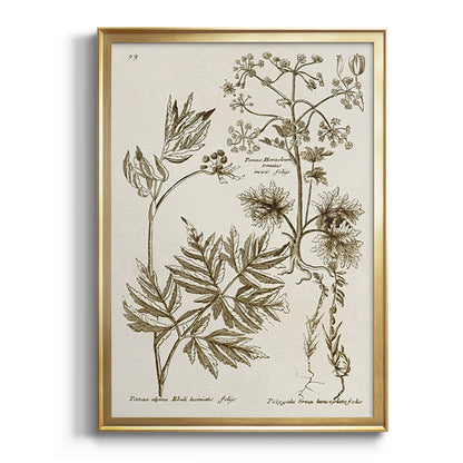 Sepia Botanical Journal III - Modern Framed Canvas Print