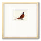 Pheasant Splash 4 Premium Framed Print Double Matboard