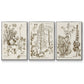 Sepia Botanical Journal IV - Framed Premium Gallery Wrapped Canvas L Frame 3 Piece Set - Ready to Hang