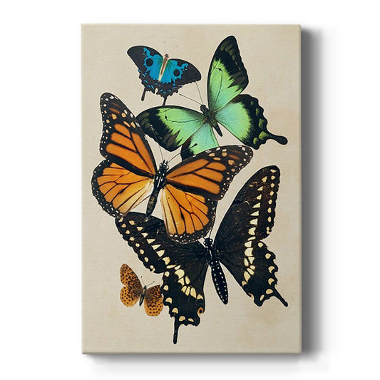 Collaged Butterflies I Premium Gallery Wrapped Canvas - Ready to Hang