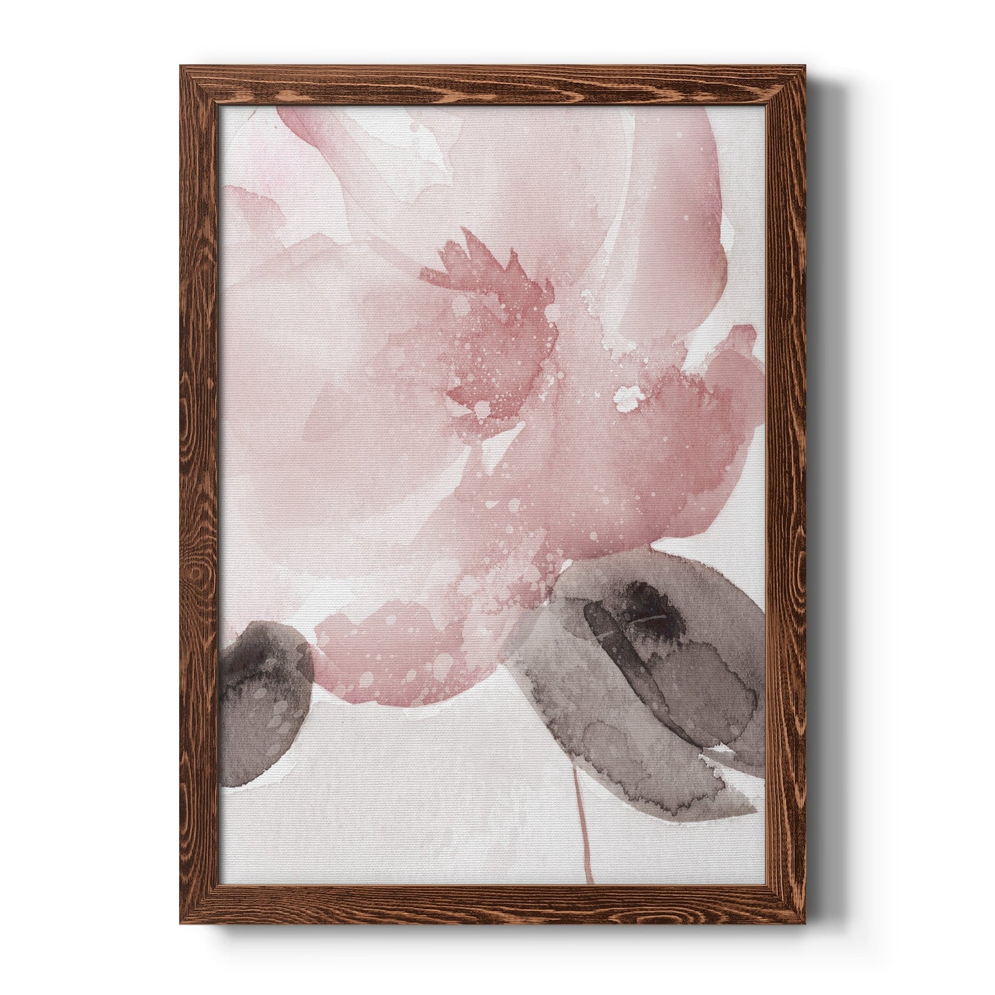 Blush Bloom I - Barnwood Framed Canvas Print