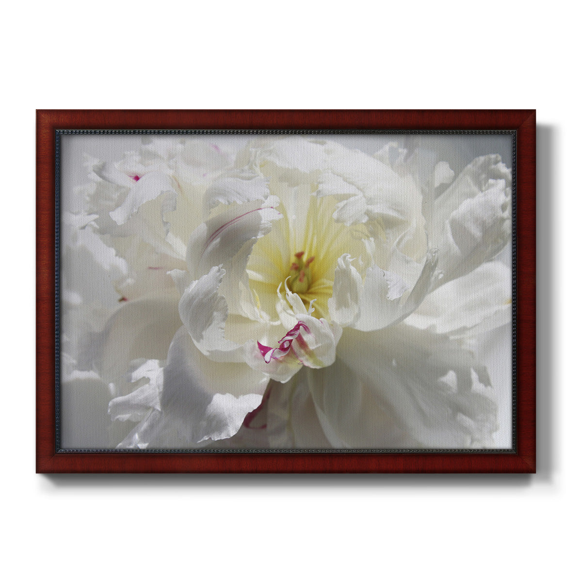 Breathless III Premium Framed Canvas- Ready to Hang