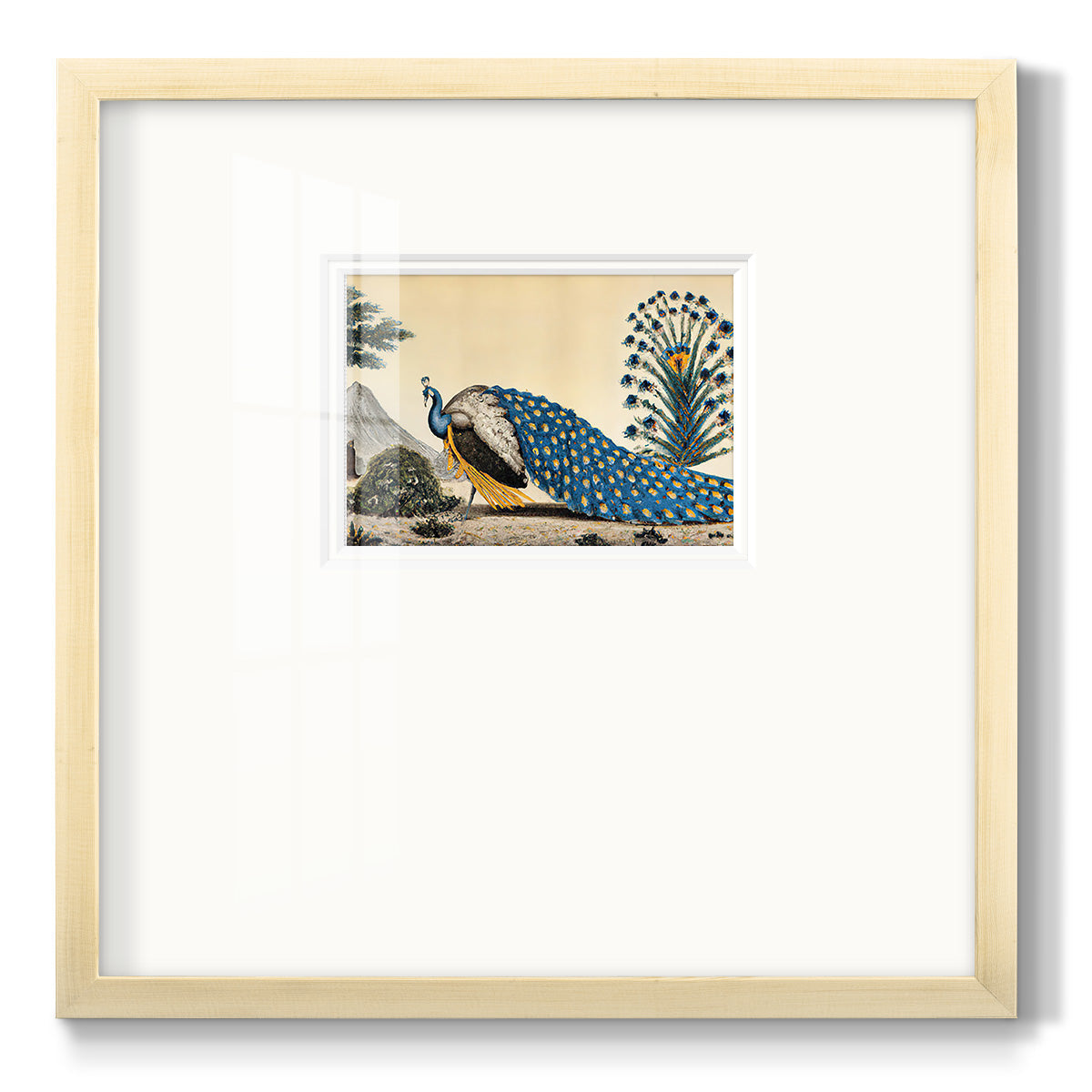 Peacock Plum Premium Framed Print Double Matboard