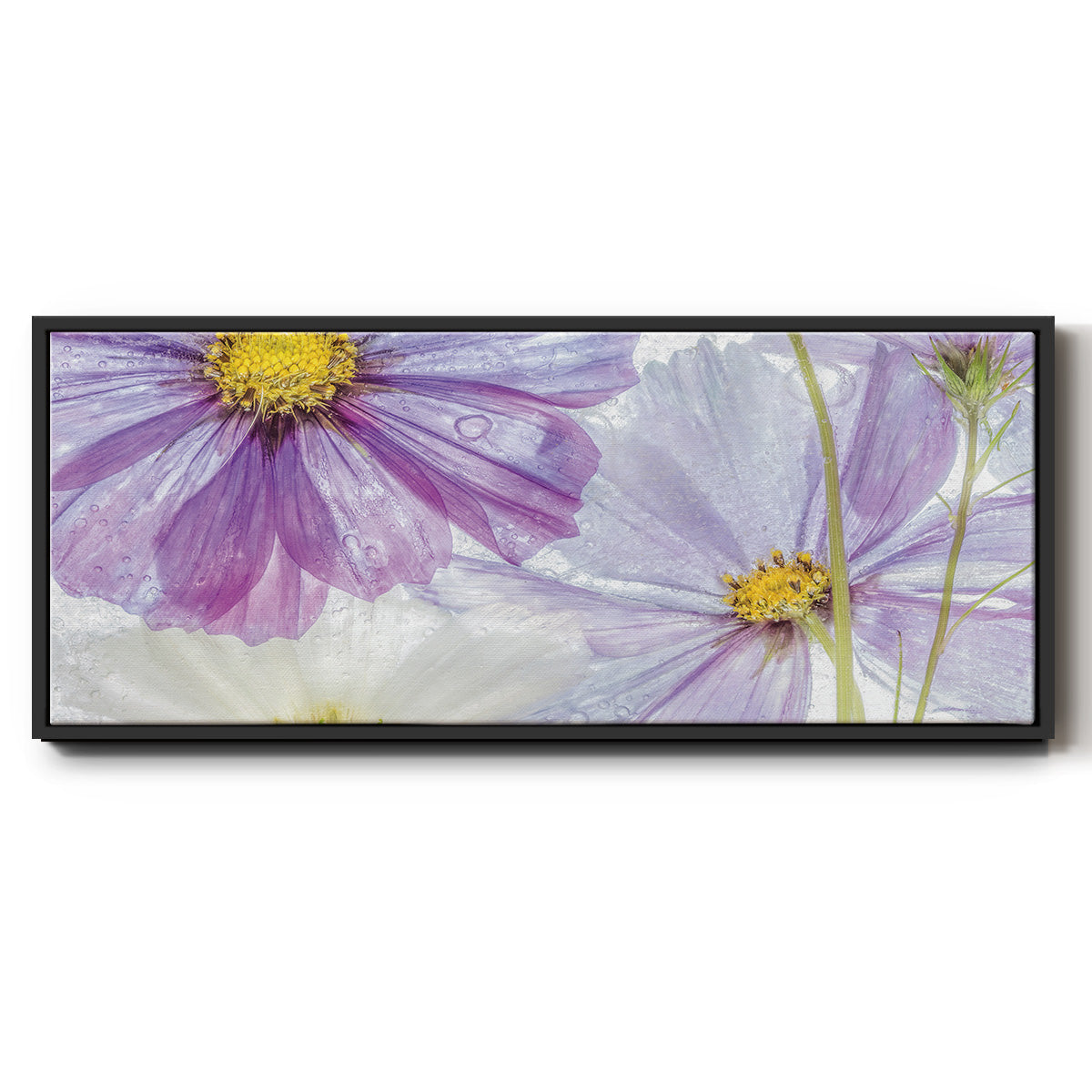 Frozen Floral II - Floater Framed Canvas Print