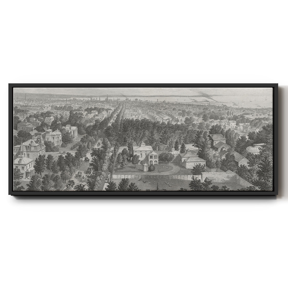 City of Buffalo - Floater Framed Canvas Print