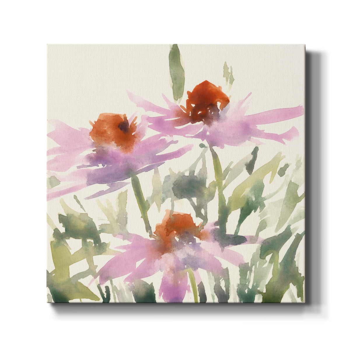 Daisy Garden Views I - Canvas Art Print