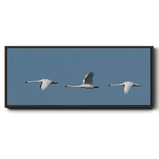 Wing Up Wing down - Floater Framed Canvas Print