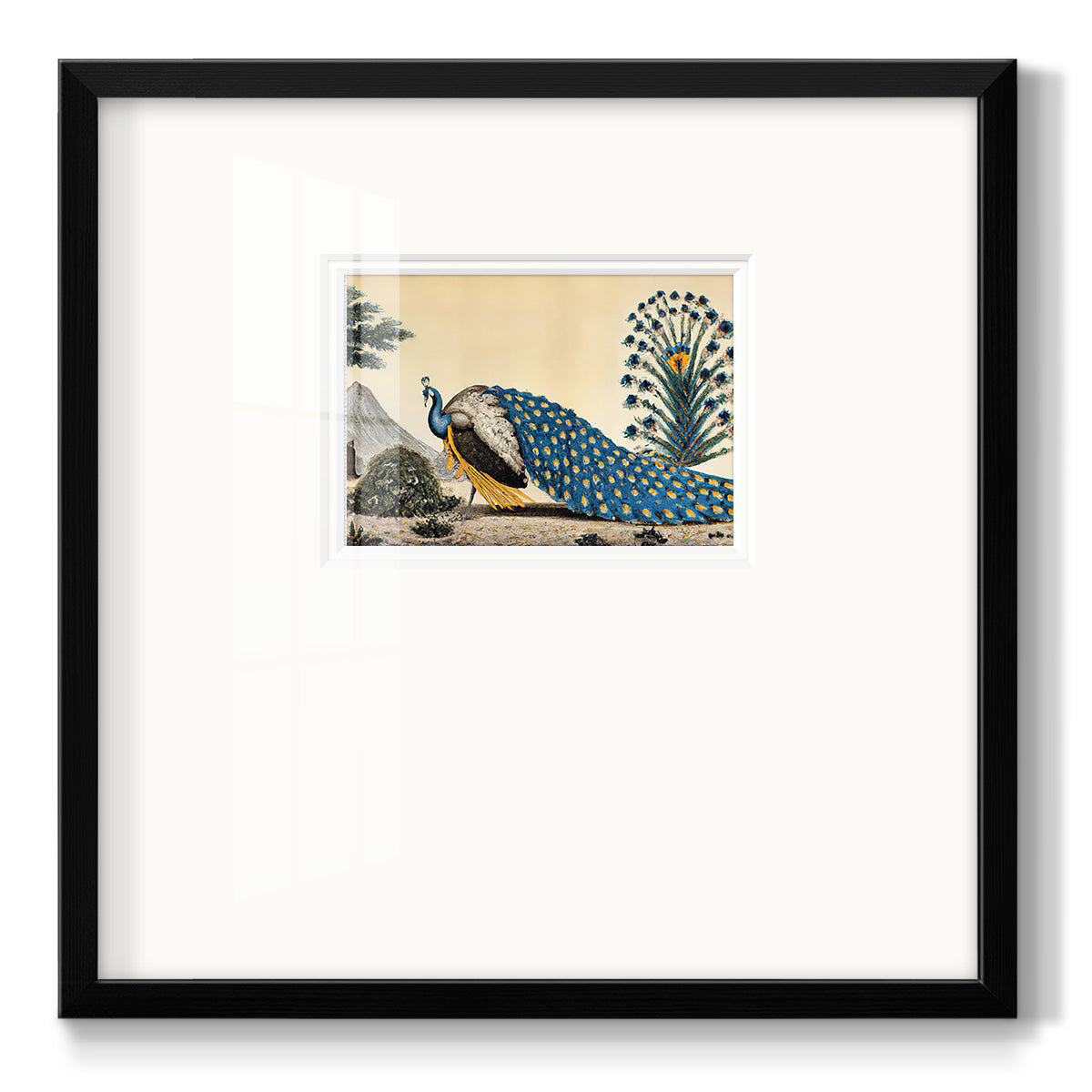 Peacock Plum - Double Matboard Framed Print