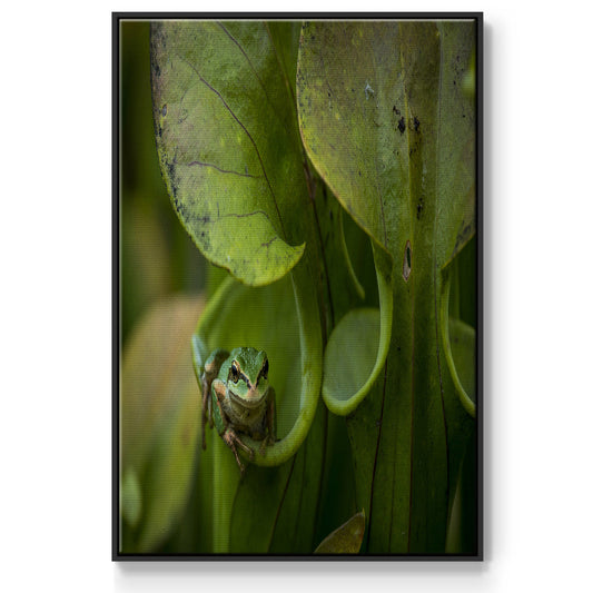 Arboreal Refuge - Floater Framed Canvas Print