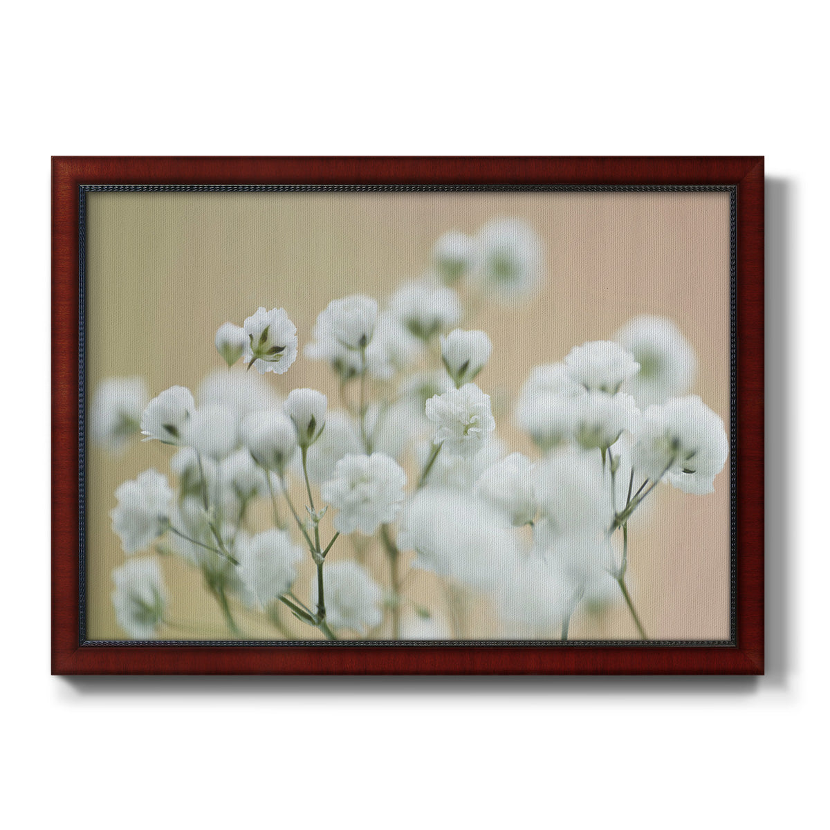 Baby's Breath Study II Premium Framed Canvas- Ready to Hang