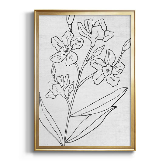 Botanical Sketch I - Modern Framed Canvas Print