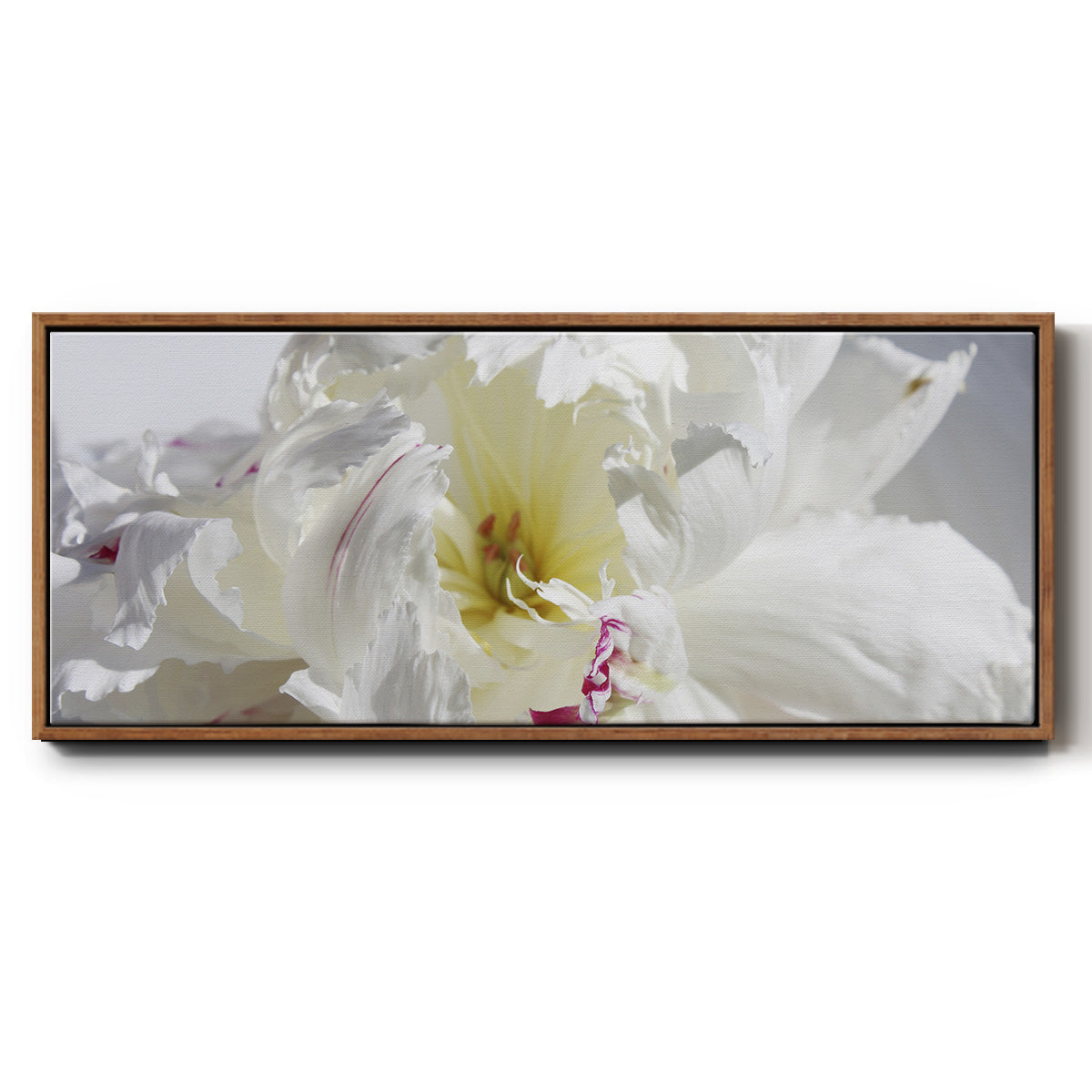 Breathless IV - Floater Framed Canvas Print