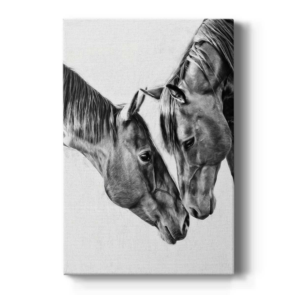 Equine Portrait VI Premium Gallery Wrapped Canvas - Ready to Hang