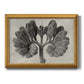 Blossfeldt Botanical VIII Premium Framed Canvas- Ready to Hang