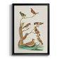 Antique Birds in Nature III - Modern Framed Canvas Print