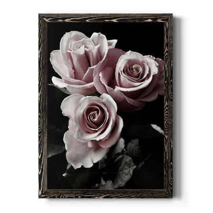 Rose Noir I - Barnwood Framed Canvas Print