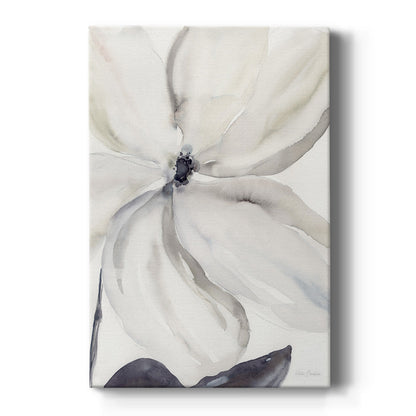 Daybreak Bloom I - Canvas Art Print