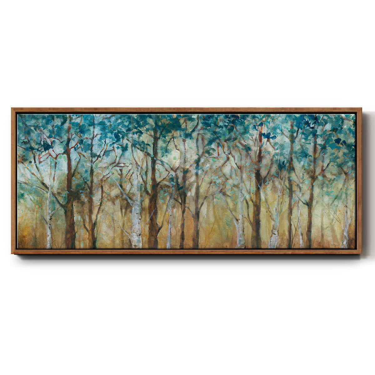 Sunlit Birch Grove - Floater Framed Canvas Print