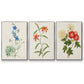 Flowers of the Seasons I - Framed Premium Gallery Wrapped Canvas L Frame 3 Piece Set - Ready to Hang