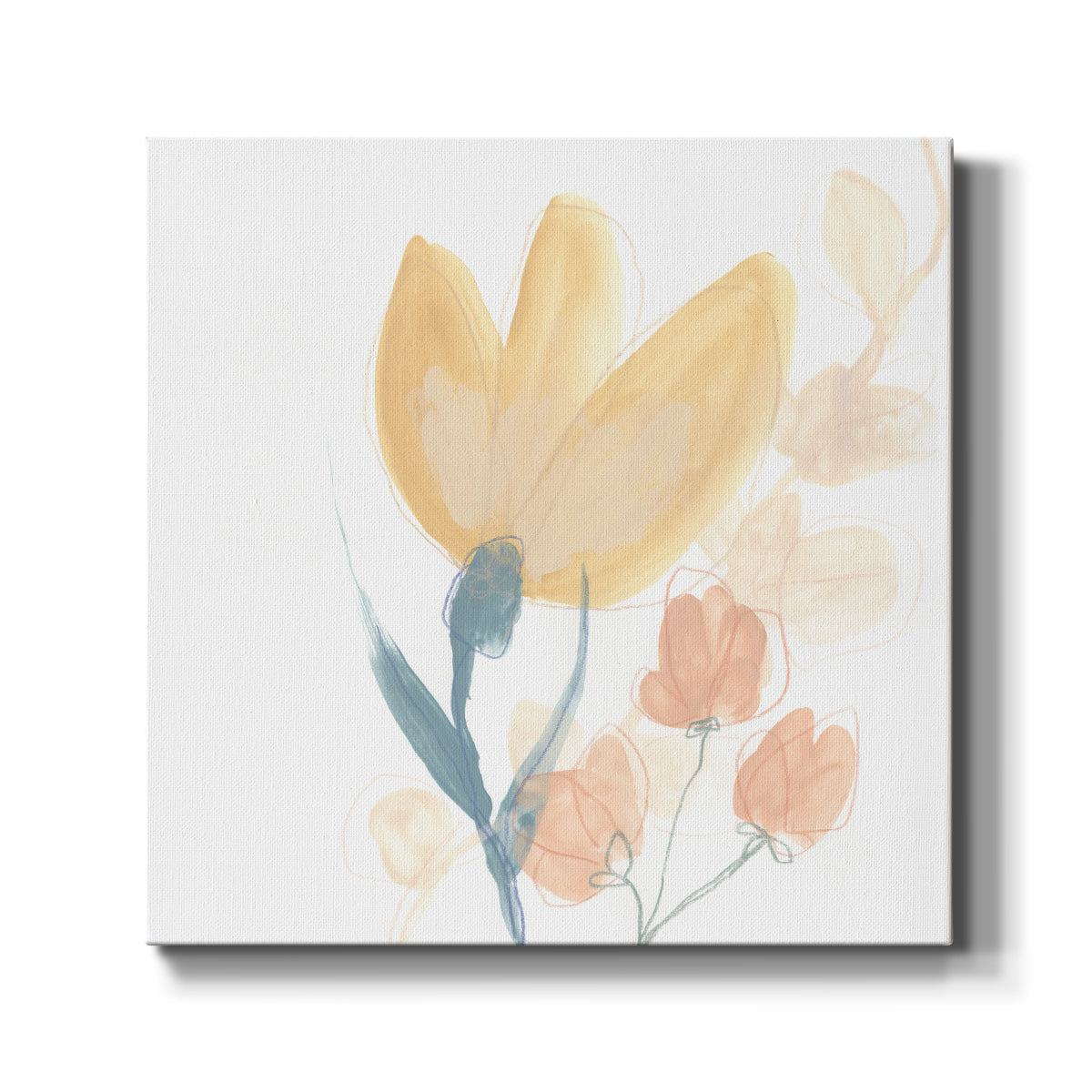 Petite Petals VIII - Canvas Art Print
