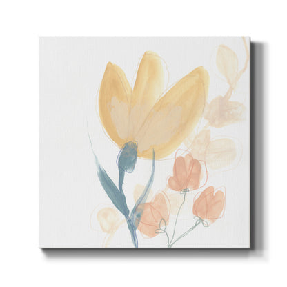 Petite Petals VIII - Canvas Art Print
