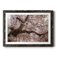 Spring's Arrival - Barnwood Framed Art Print