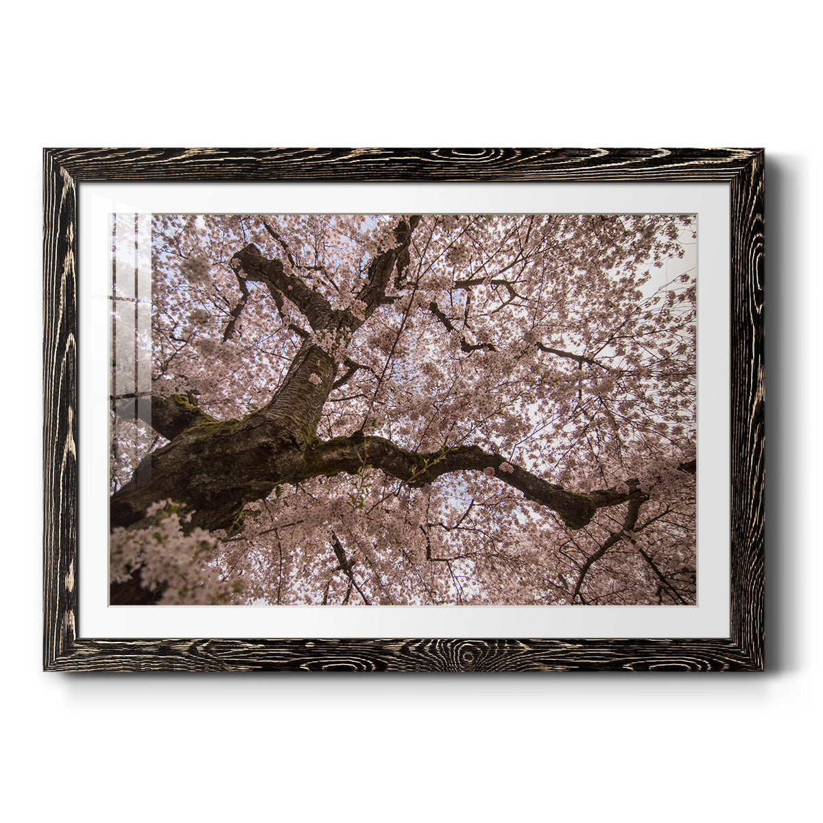 Spring's Arrival - Barnwood Framed Art Print