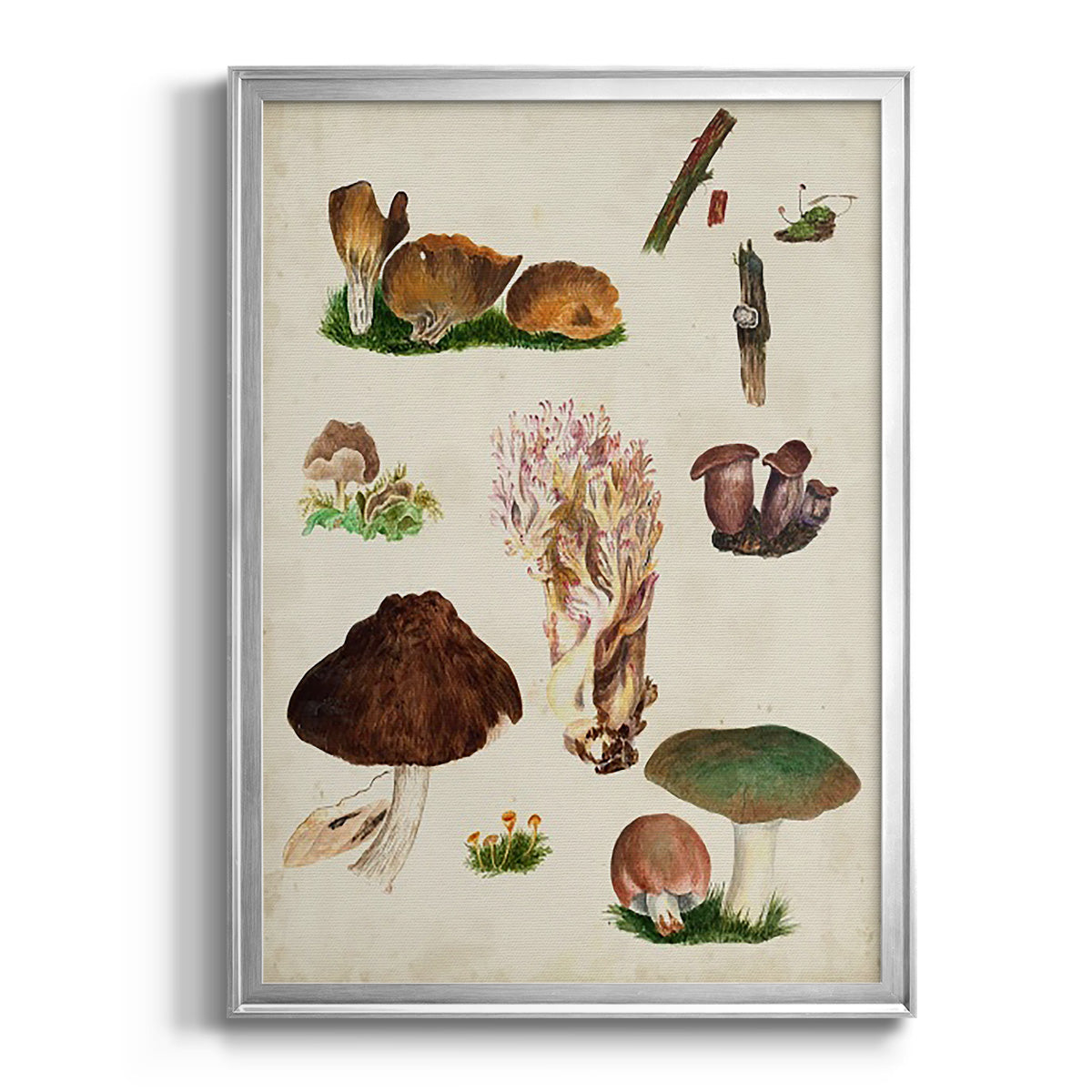 Mushroom Species IX - Modern Framed Canvas Print