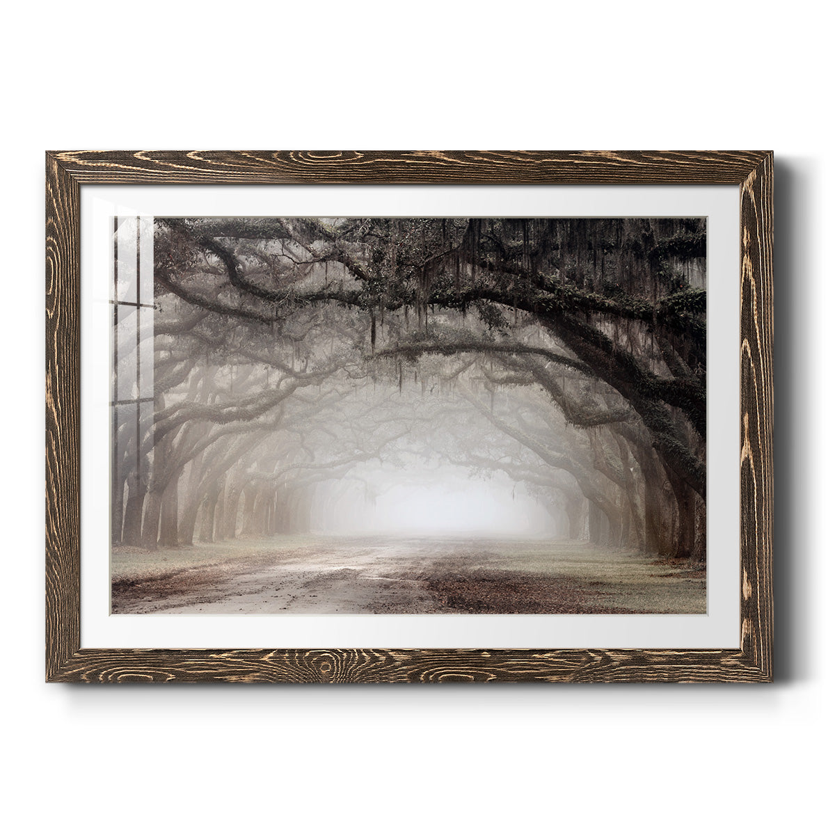 Timeless Plantation Drive - Barnwood Framed Art Print