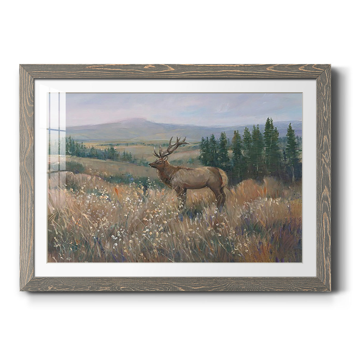 Western Wildlife II - Barnwood Framed Art Print