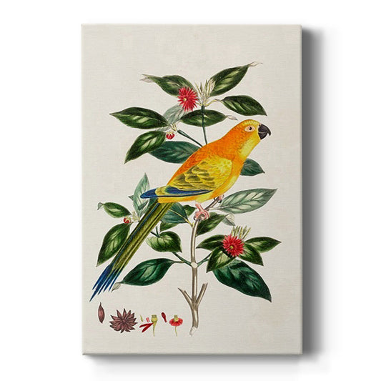 Bird in Habitat V Premium Gallery Wrapped Canvas - Ready to Hang