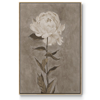Pretty as a Peony I  -  Framed Canvas Print