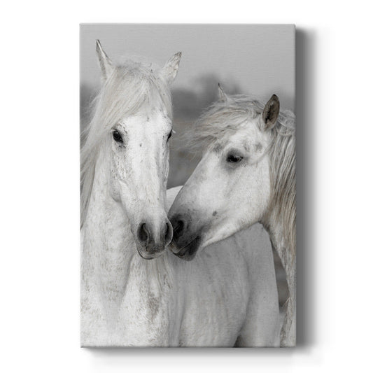 Affection I Premium Gallery Wrapped Canvas - Ready to Hang