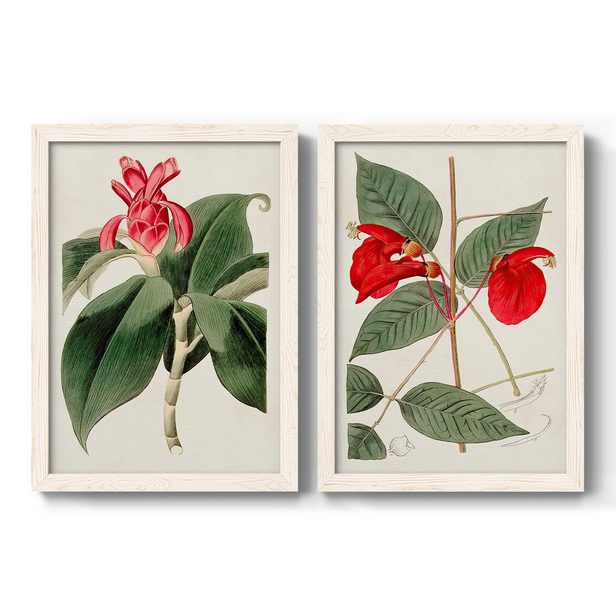 Flora of the Tropics I - Premium Framed Canvas 2 Piece Set - Ready to Hang