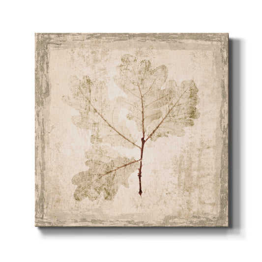 Stone Leaf III - Canvas Art Print