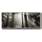 Morning Light - Floater Framed Canvas Print
