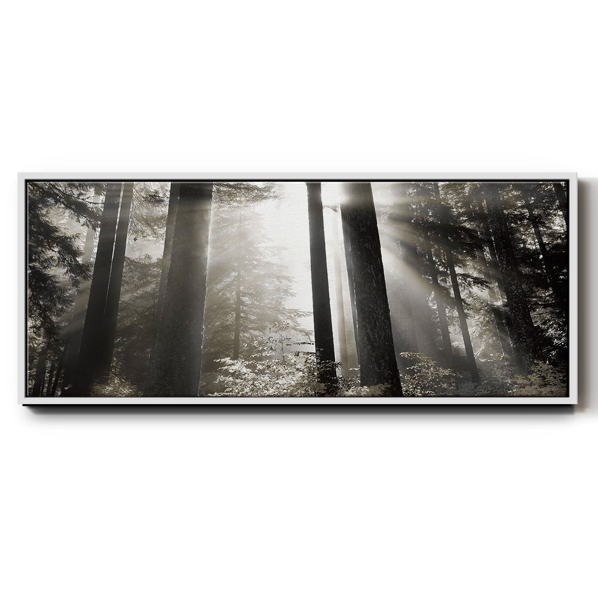 Morning Light - Floater Framed Canvas Print
