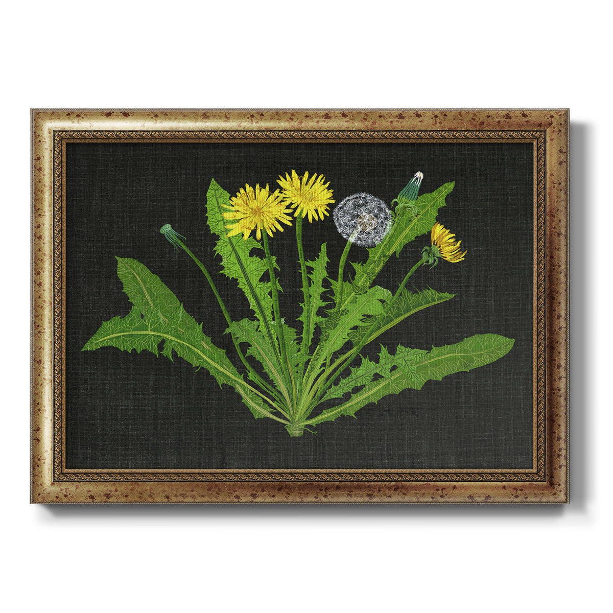 Wild Dandelion II Premium Framed Canvas- Ready to Hang